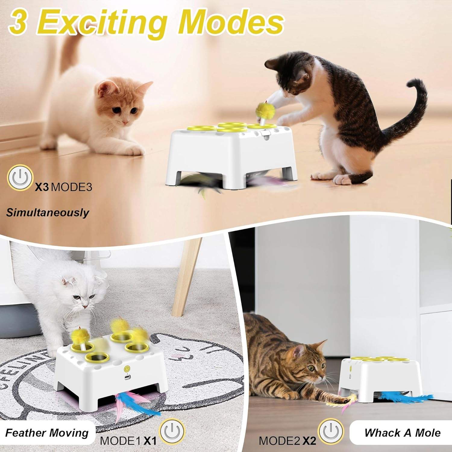 Three interactive modes for cats